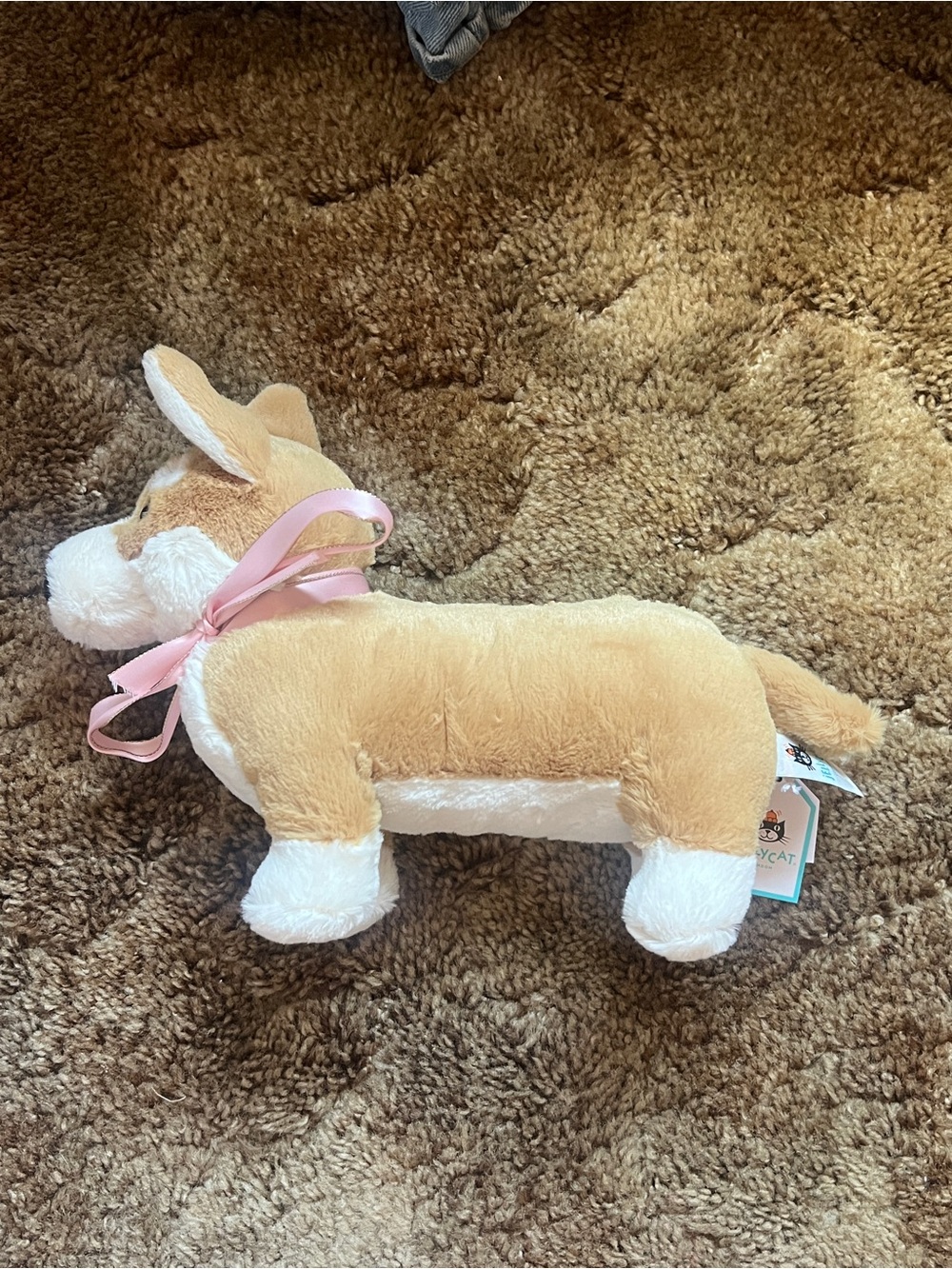 Corgi jellycat